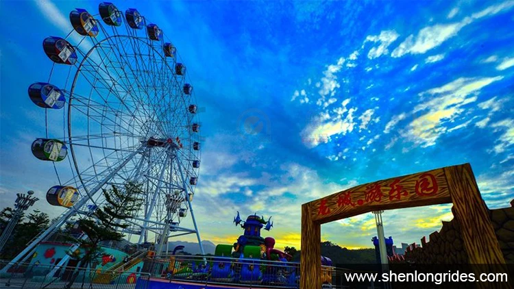 30mferris-wheel-case4