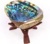 Quick Shipping for Beautiful Color abalone shell Used in cleaning smudge kit