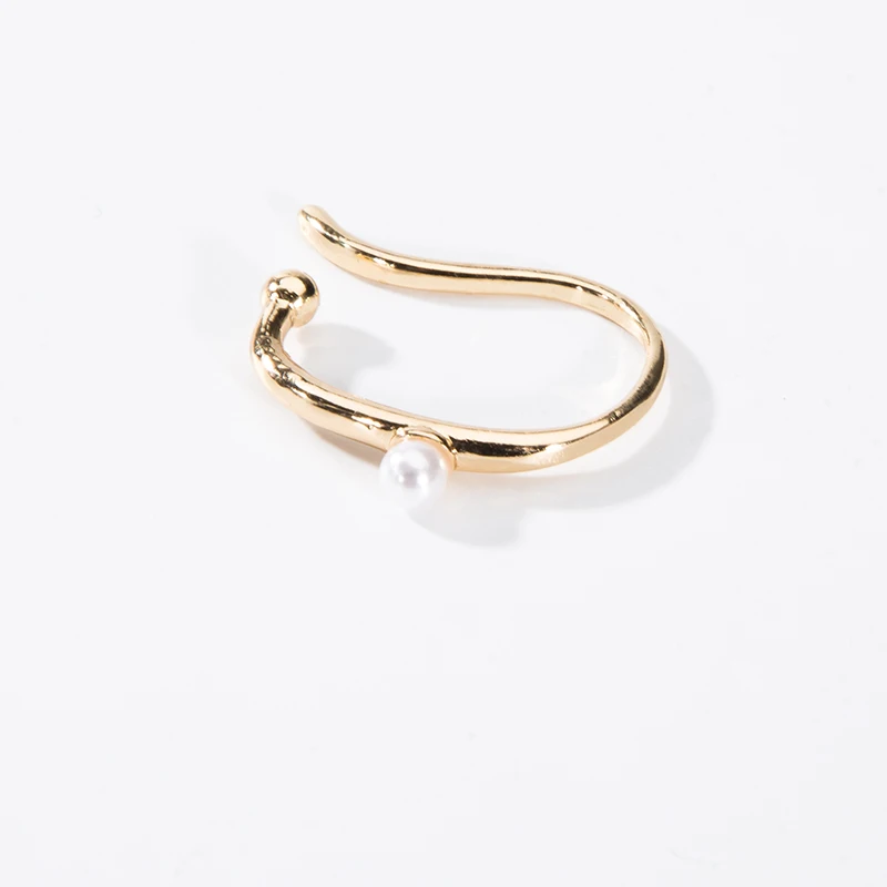 

2021 Earrings women's gold plated earrings pearl pendant women's jewelry fashion earclip