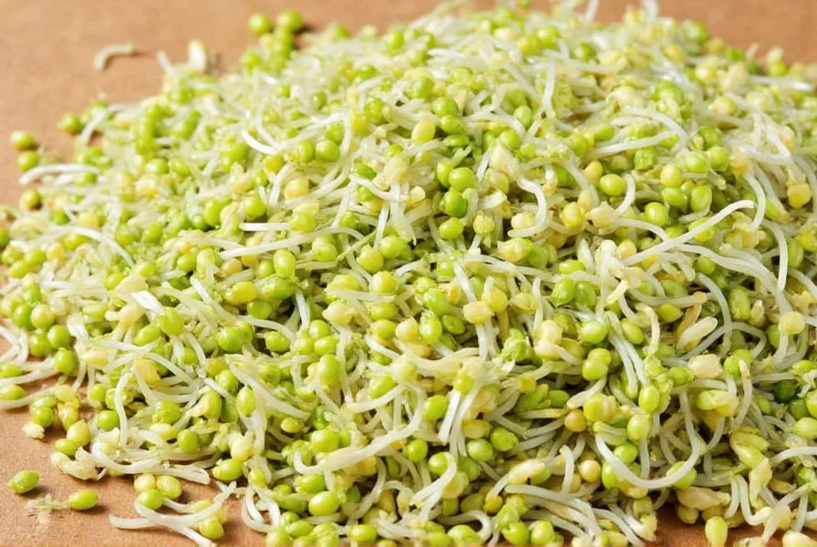 Close-up photograph of fresh fenugreek sprouts in a wooden bowl with other salad ingredients
