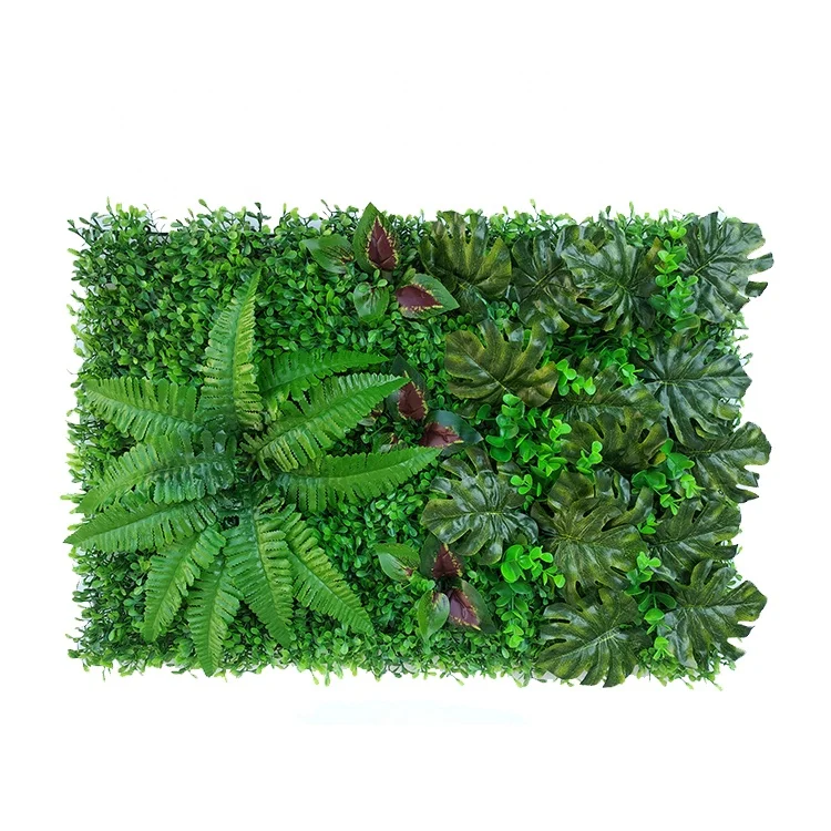 

artificial plant for home wall decoration, Natural color