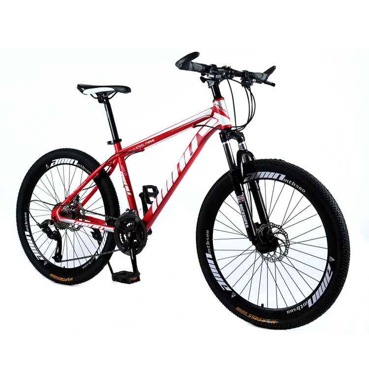 Mountain bike (9)
