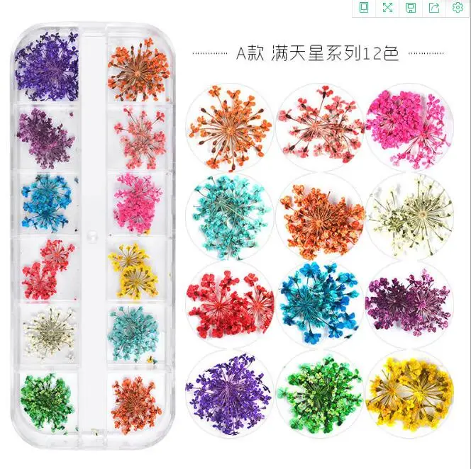 

Top Selling Mixed Colors Natural Pressed Dry Flower Decoration Mini Nail Art Dry Flower, 12colors