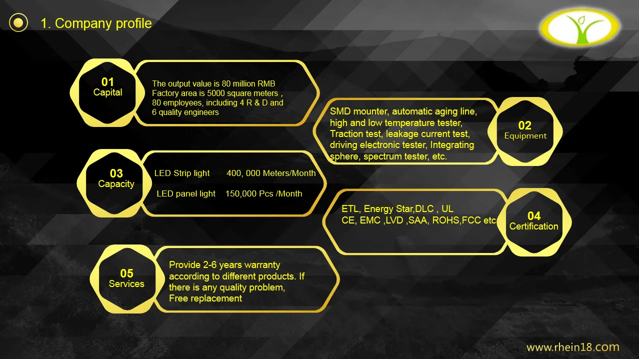ETL LED LIGHT Factory 2.png