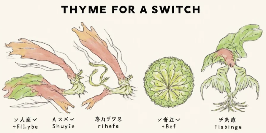 Hand Holding Fresh Thyme Sprig