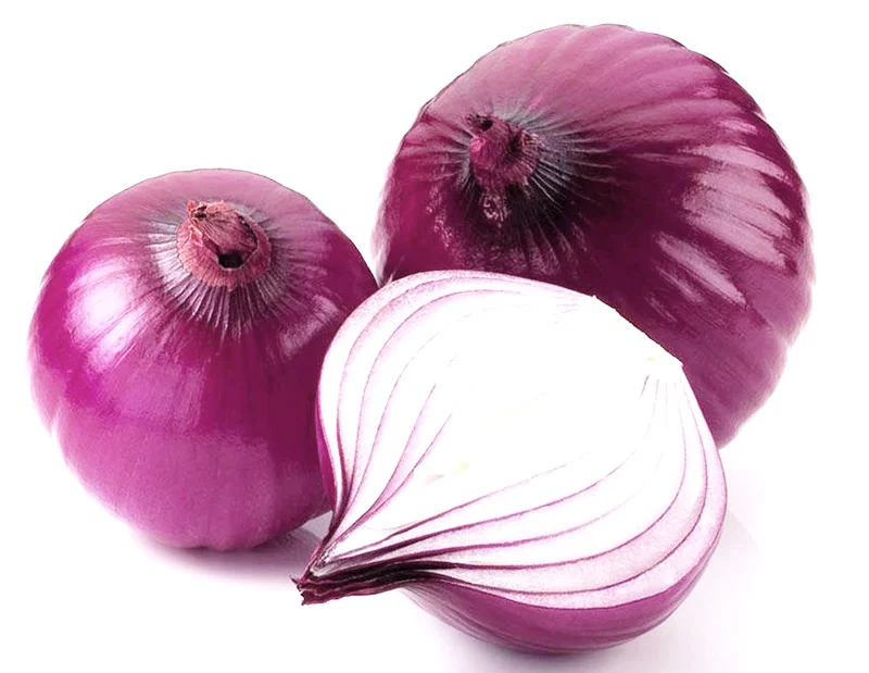 5.png