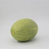 Best-selling xinjiang natural hami melon