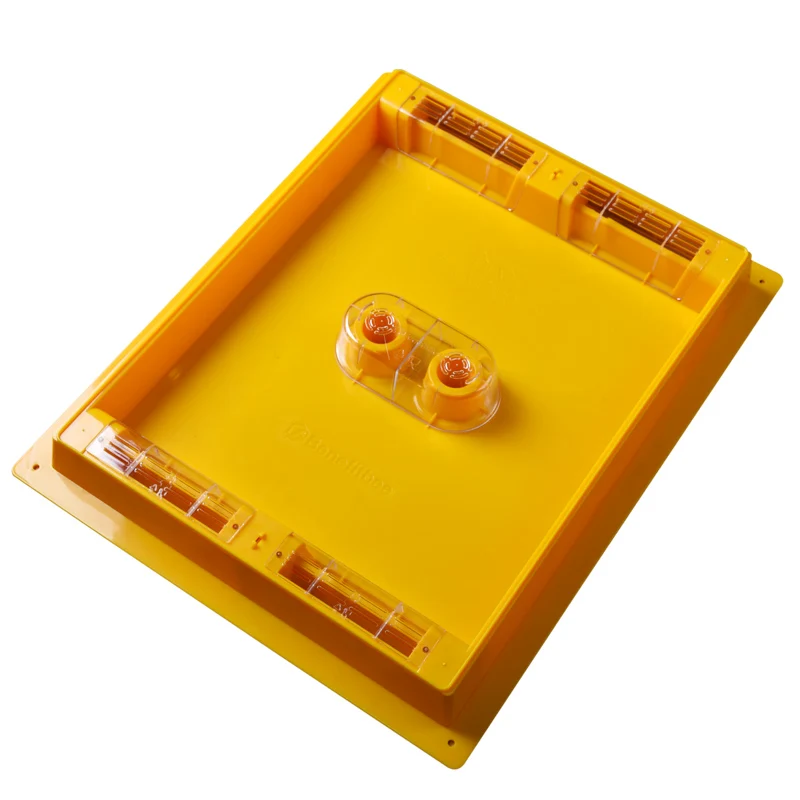 Benefitbee Newest Design Beehive Top Feeder Australia Style 3.5L Plastic Bee Feeder