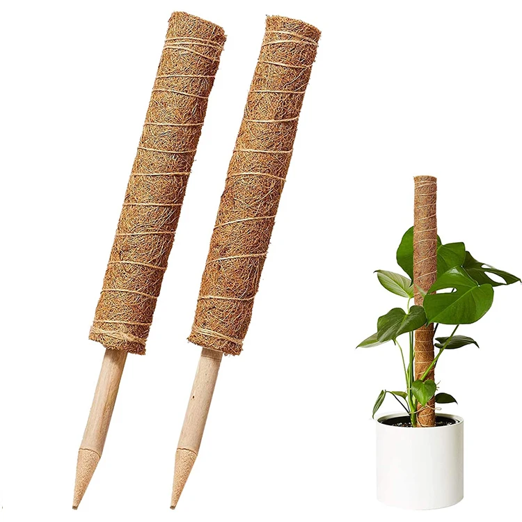 

Climbing coir pole indoor amazon hot sale moss grow stick stackable extendable plant support bendable tall mosser monstera stake