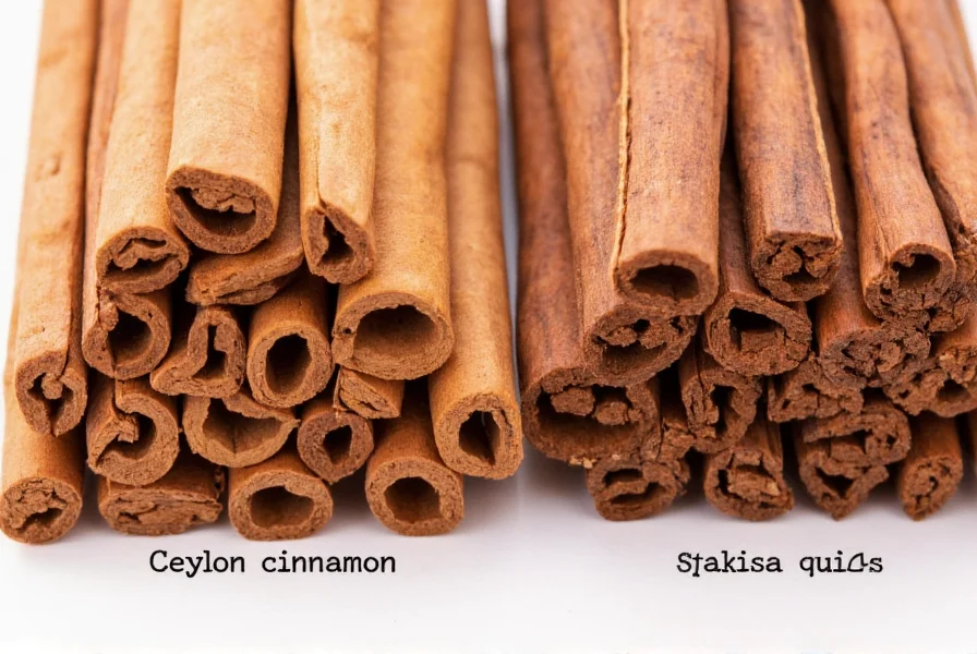 Close-up comparison of Ceylon cinnamon quills versus Cassia cinnamon sticks showing the distinctive layered structure of Ceylon