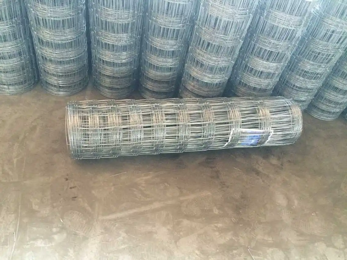 berita perusahaan terbaru tentang Pagar wire mesh tahan korosi yang kuat untuk pertanian  3