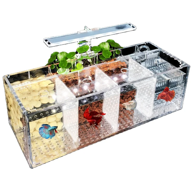

220V Betta Fish Tank Breeding Incubator Isolation Box Water-free Desktop Small Acrylic Ecological Aquarium Tank