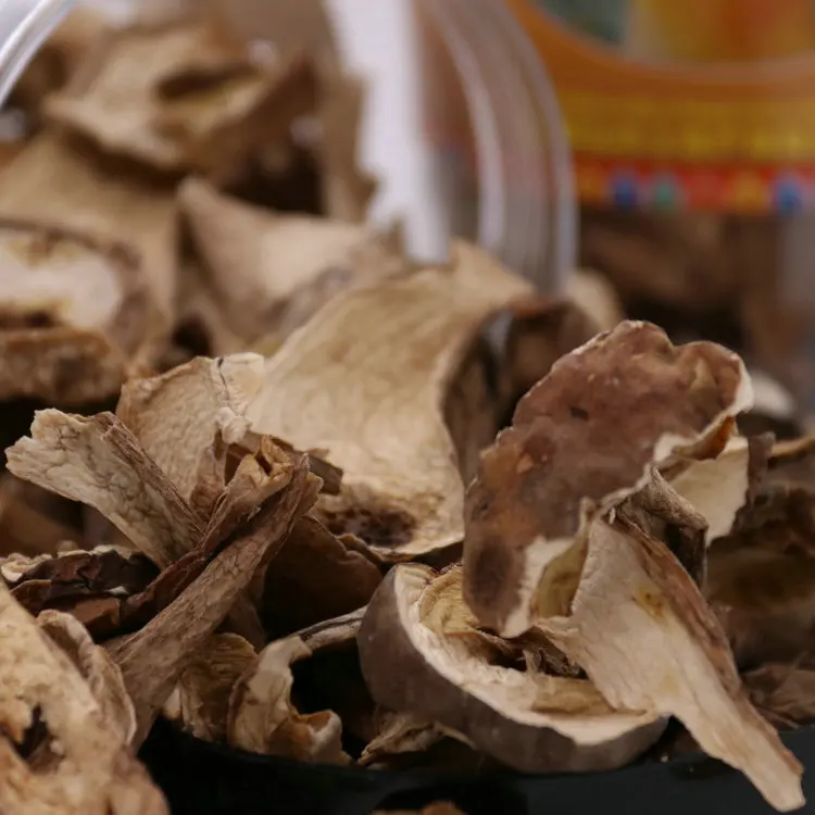 
dried mushrooms magic boletus edulis 