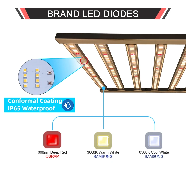 Led brand