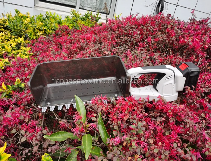 tea plucker mini.jpg