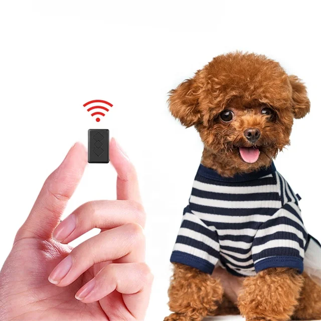 

2021 New car tracker gps Long Battery P6 GPS Tracking Device Personal Kids Pet smart mini GPS tracker, Black