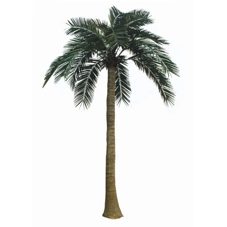 artificial palm coconut tree decoration tree simulation tree for