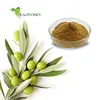 /product-detail/popular-selling-hydroxytyrosol-and-olive-leaf-p-e-or-olive-leaf-plant-extract-62431610587.html