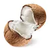 Healthcare Supplement Organic Coconut Mct Oil Powder