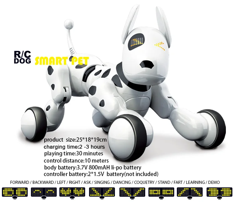 programming stunt smart dog