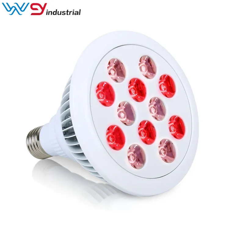 

E27 Socket Face PDT Full Body 660nm 850nm Red Therapy Light 24W, Led Therapy Lamp for Skin Beauty