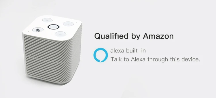 Multifunctional Portable Wireless Wifi Alexa Voice Speaker with Hub - ANKUX.COM