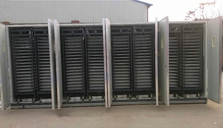 50688 eggs incubator (30).jpg