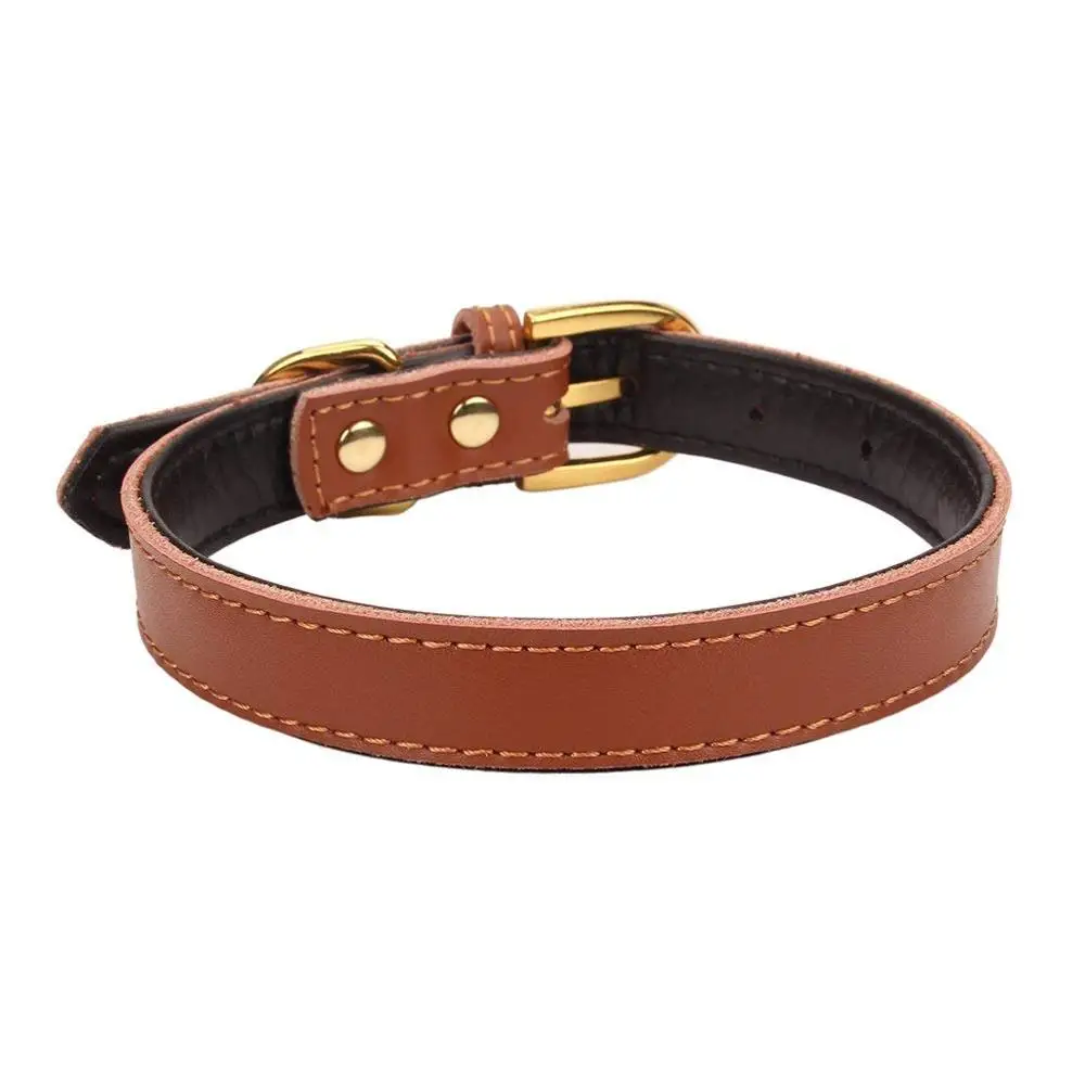 Leather Dog Collar (4).jpg