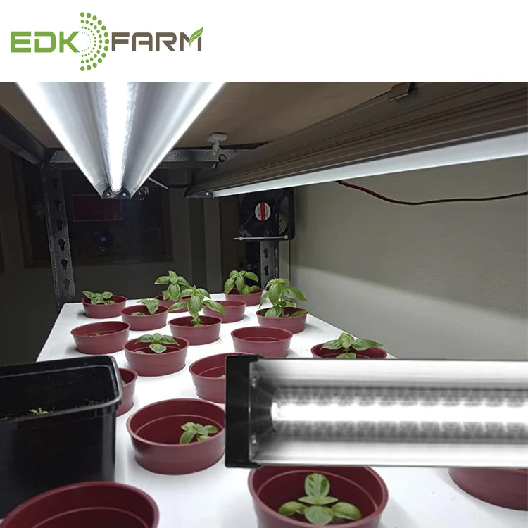 

ETL listed EDK48W no fan high quality full spectrum hydroponic greenhouse strip bar Led grow light for microgreens