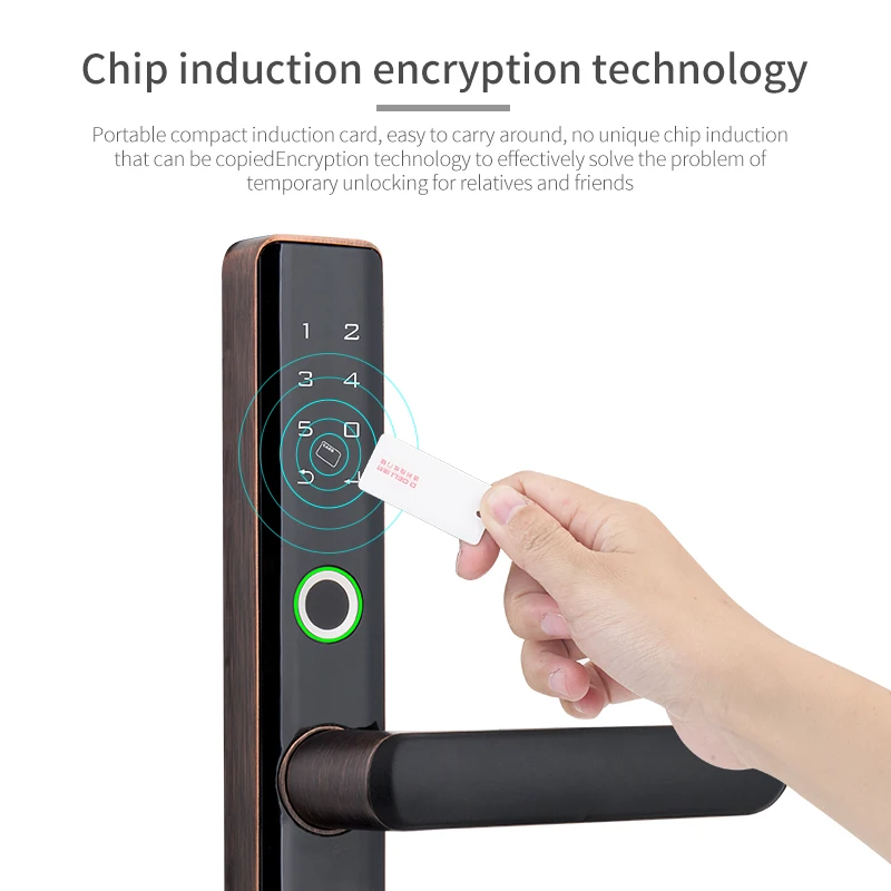 D.Deli DL001 Zinc Alloy  Intelligent Biometric Fingerprint Smart lock Smartphone Tuya Smart WiFi APP for Aluminium Door Lock