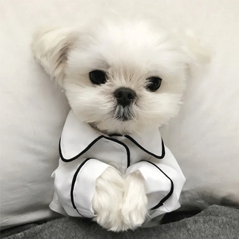 

Luxury Pet Dog Cat Gato Pajamas Shirts Apparel Clothes Costumes Dogs Accesorios Ropa De Perro Para Mascotas Products Supplies, Customized color