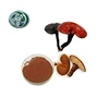 Wholesale Pure Dried Extract Ganoderma
