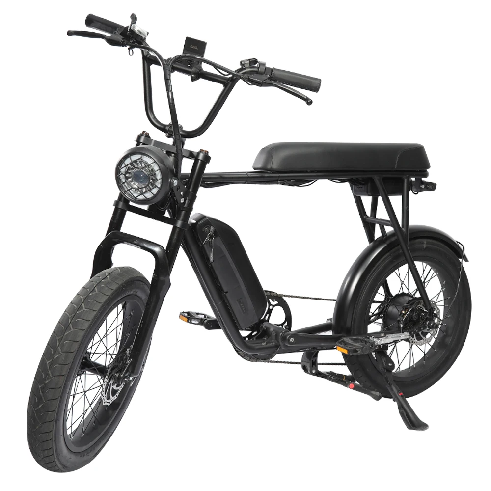 

2021 new 500W 20inch 7 quick removal battery LED shows elektrik bike ebike