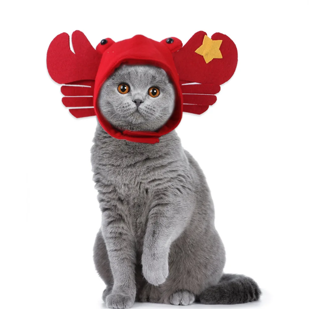 

Wholesale New Halloween Pet Hat Teddy Dressed up Crab Headgear Cat Hat Pet Supplies, Red