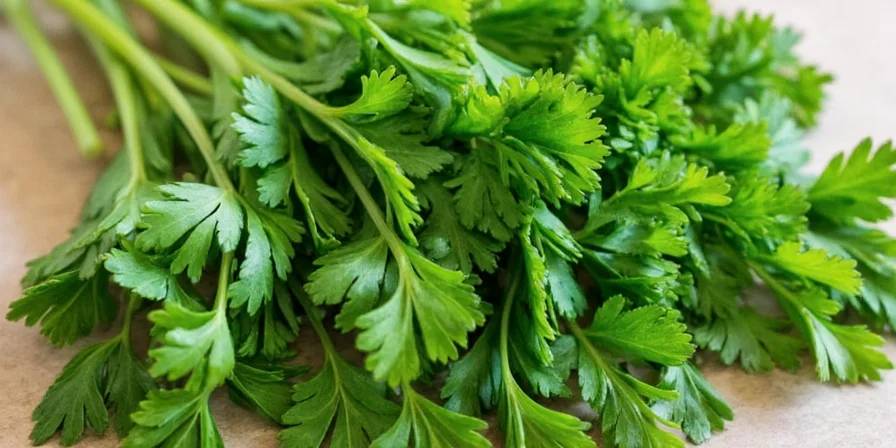 Homemade Parsley Chimichurri Recipe