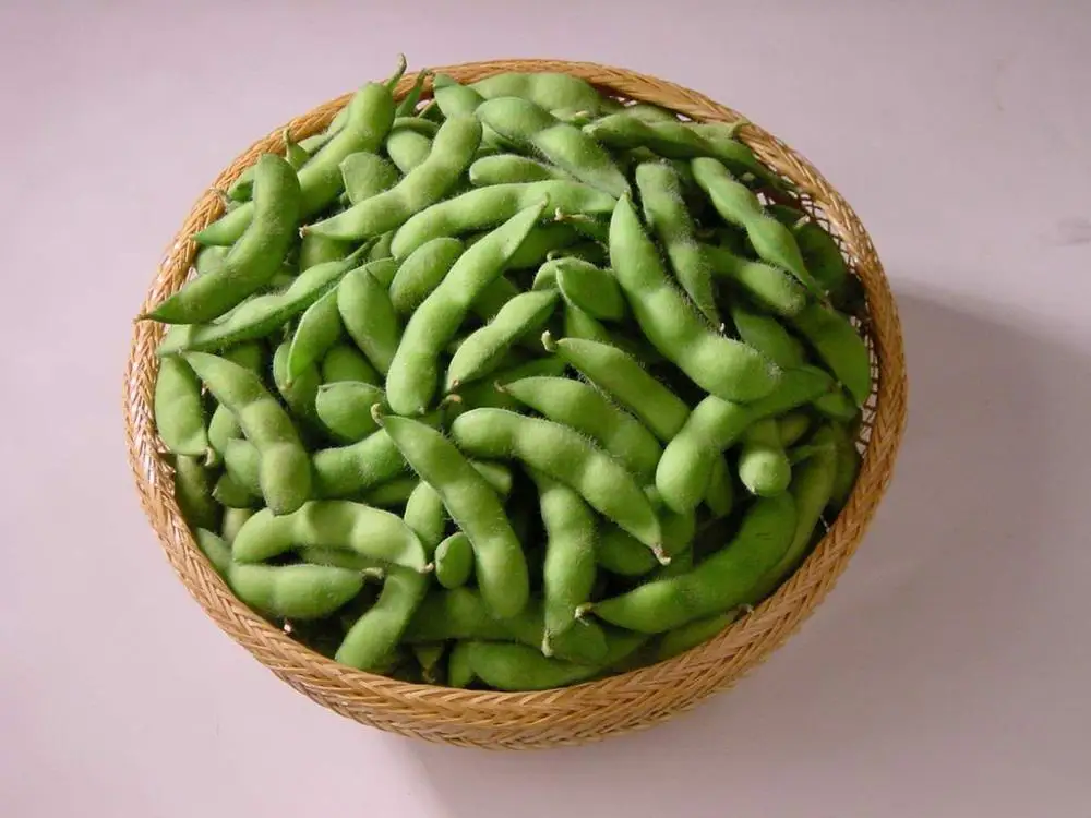
Frozen green fresh delicious Japanese Edamame Soy Bean 