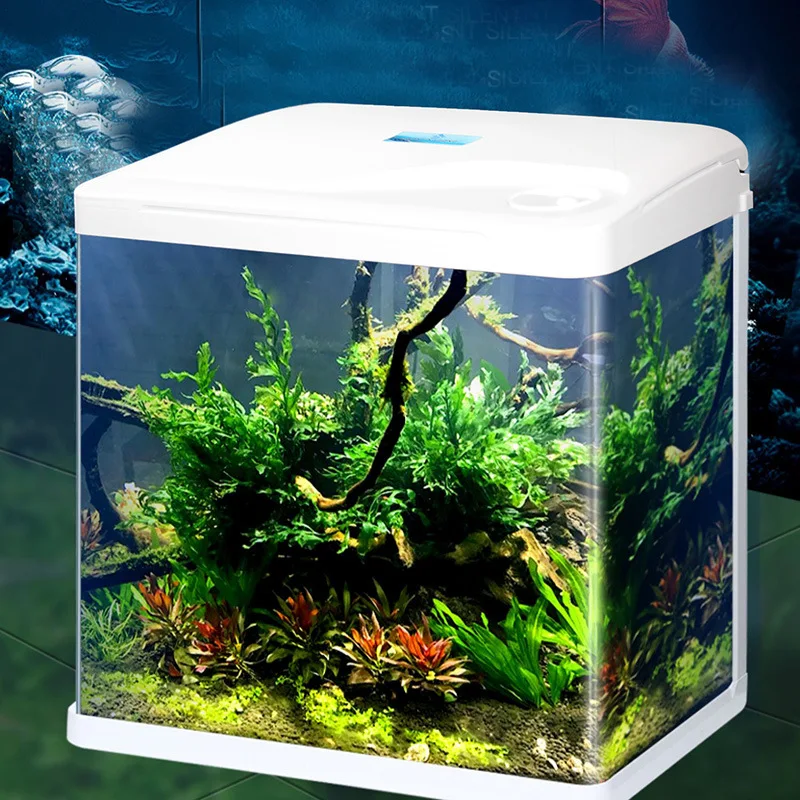 

Fish tank office living room glass small fish tank mini aquarium table fish tank, Picture
