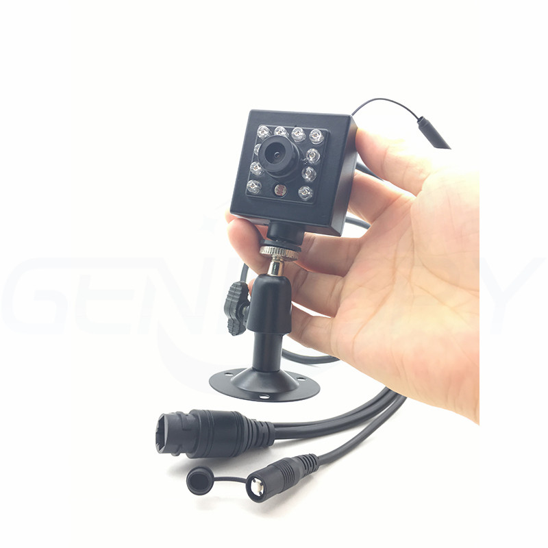 

OEM 2MP HD SD Card built-in Audio Video 940nm IR Night Vision Wifi Wireless Hidden IP Bird Nest Camera With Flexible Stents