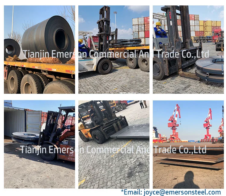 Hot Rolled Steel In Coils Q460 Alloy Building Material Steel Coil Sheet