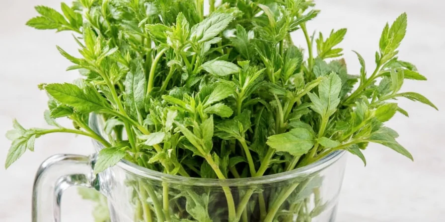 Jars of dried Provencal herbs