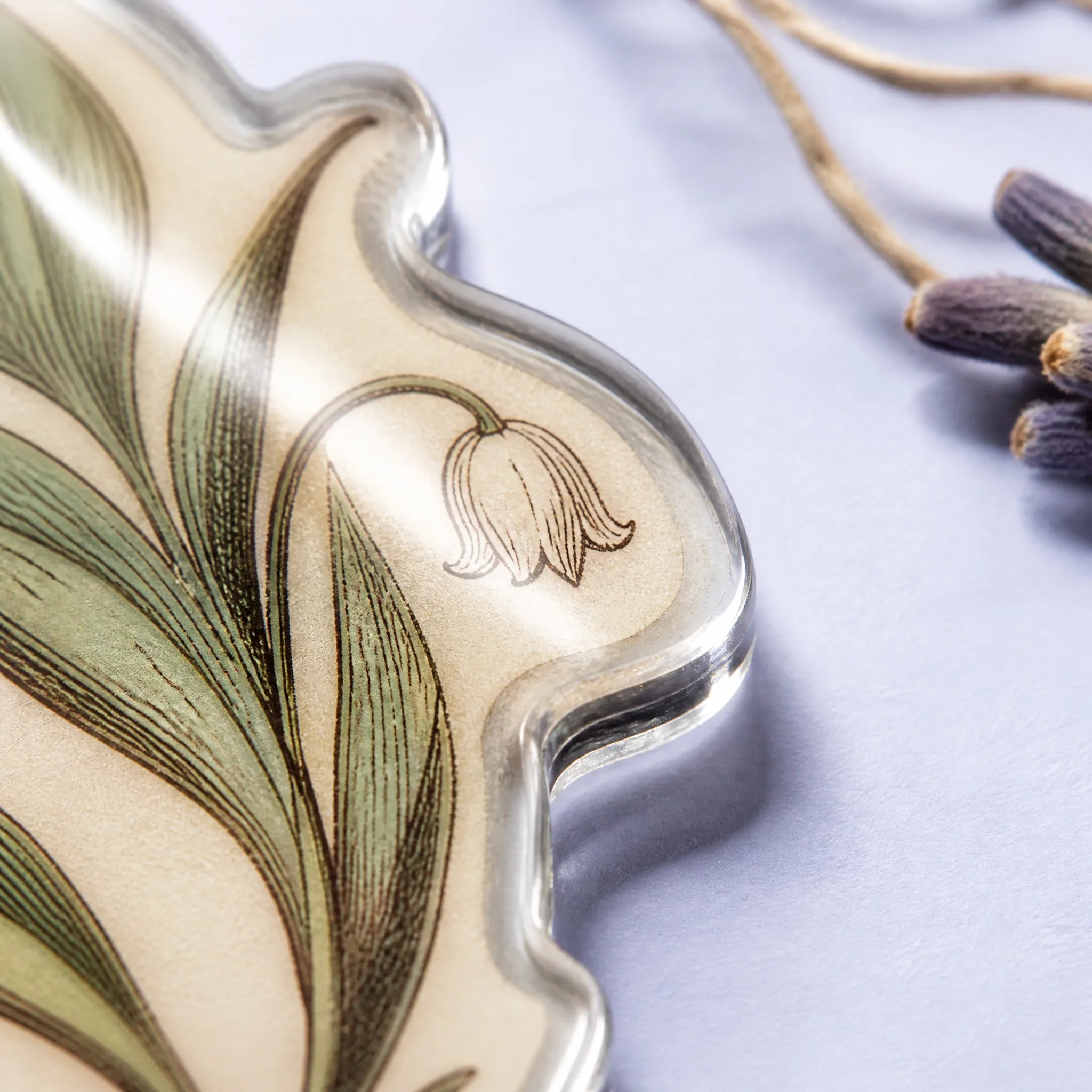 4K Macro Close-up of Diamond Polished Acrylic Edge, Transparent Bevel and Glossy Lily of the Valley Bell Flower UV Print