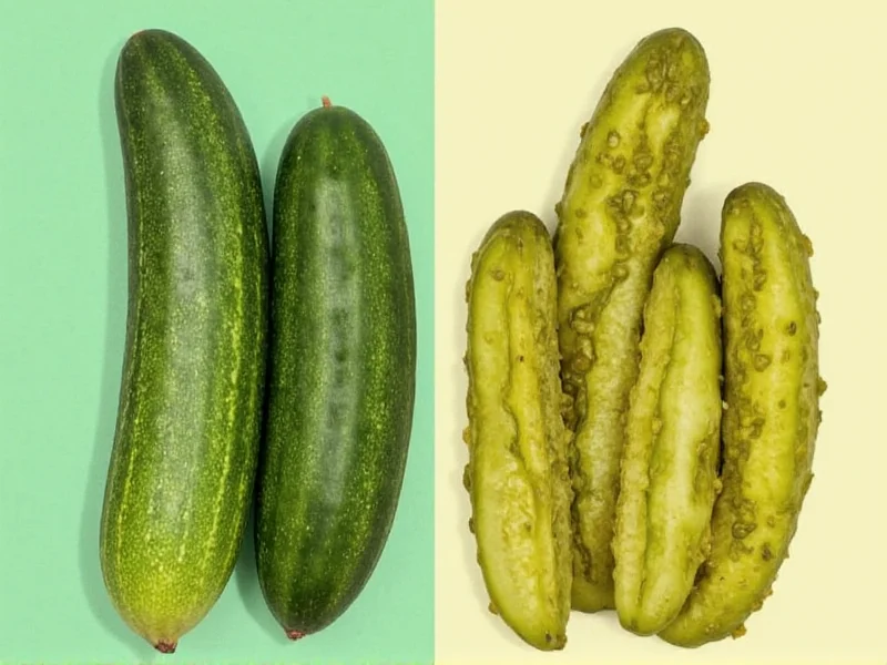 Cucumber vs Pickles: Understanding the Fundamental Difference