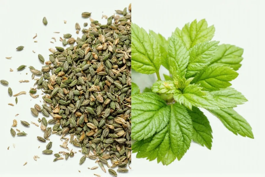 Herbs Air Drying