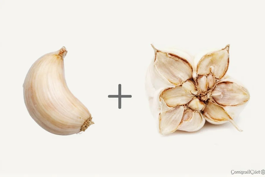 Nutritional breakdown of a single garlic clove showing key components