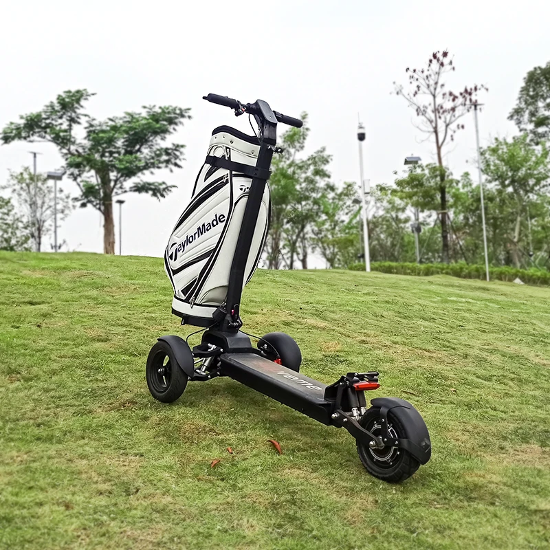 

Ecorider 2022 New 3 wheels adults self-balancing fast Golf electric scooters