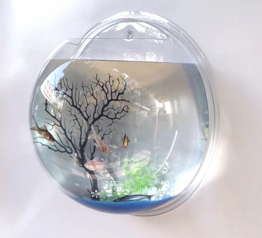 Wall Mounted 1 Gallon Fish Tank - Clear Acrylic Hanging Aquarium Bowl