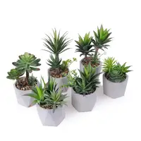 

Newest artificial green succulent plants customized decoration home & garden artificial mini plants bonsai succulent