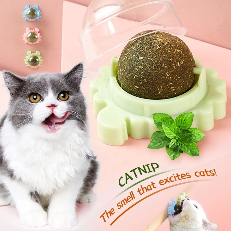 

Contain catnip snack lollipop cat toys interactive ball catnip sucker wall ball cat toy with catnip mint, Blue / green / pink