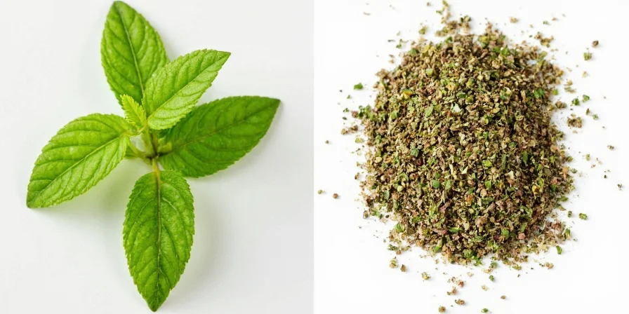 Mexican vs Mediterranean Oregano Comparison