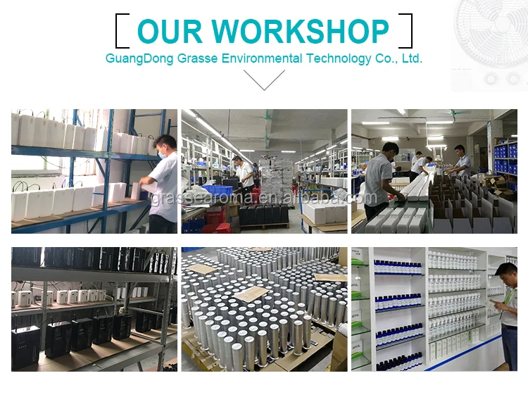 Workshop